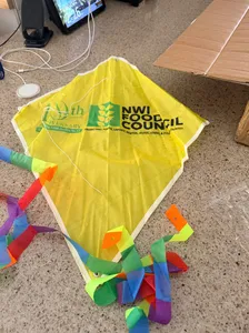 CustomCanvasNow.Com - Diamond Kites