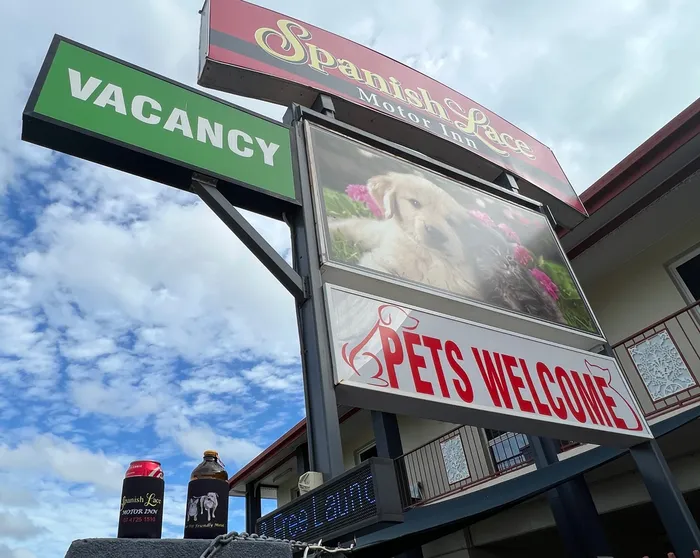 CustomCanvasNow.Com - Full Color Collapsible