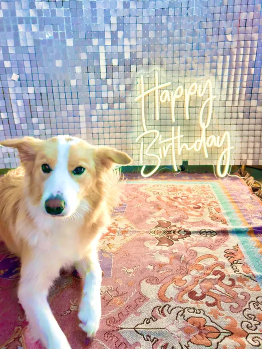 CustomCanvasNow.Com - Custom Neon Sign