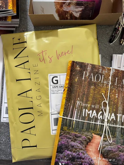 CustomCanvasNow.Com - Custom Poly Mailer