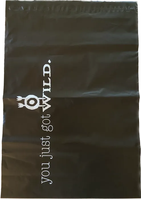 CustomCanvasNow.Com - Custom Poly Mailer