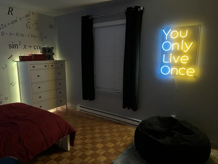 CustomCanvasNow.Com - You Only Live Once Neon Sign