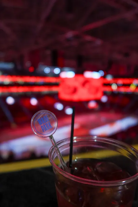 CustomCanvasNow.Com - Transparent Stir Sticks