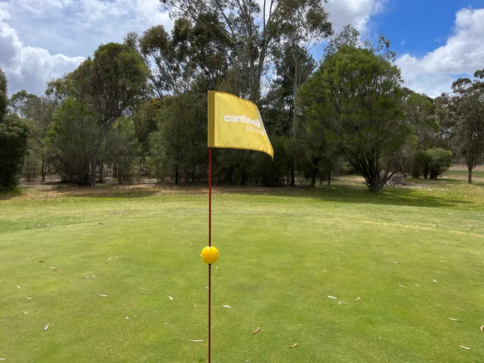 CustomCanvasNow.Com - Golf Flag