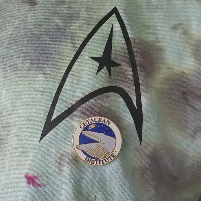 CustomCanvasNow.Com - Hard Enamel Pin