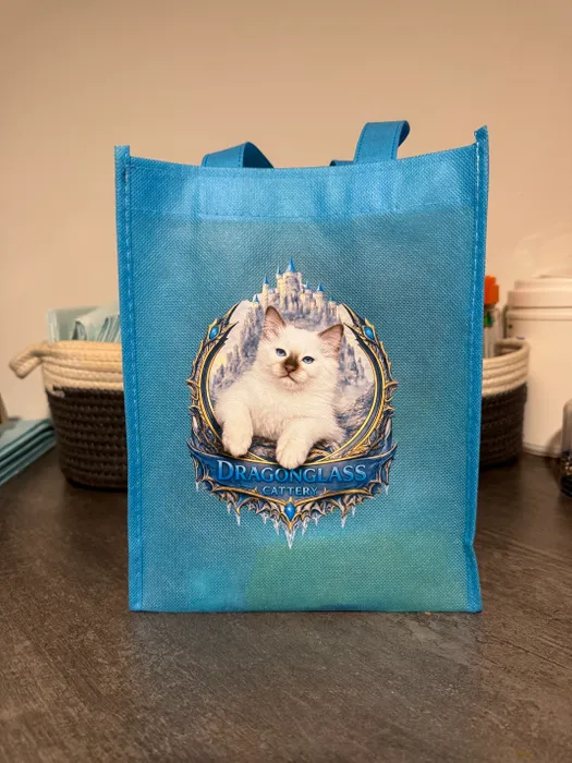 CustomCanvasNow.Com - Custom Small Gift Tote Bag