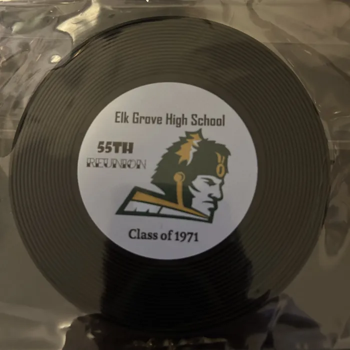 CustomCanvasNow.Com - Soft Plastic Record Coaster