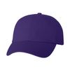 Valucap Bio-washed Dad Hat 
