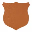 Shape 17 - Custom Canvas Now