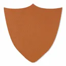 Shape 18 - Custom Canvas Now