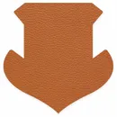 Shape 16 - Custom Canvas Now