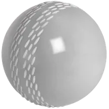 White White