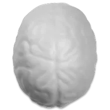 White White
