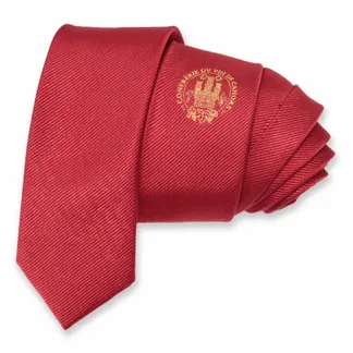 Patterned Tie with Embroidery Logo - Custom Canvas Now