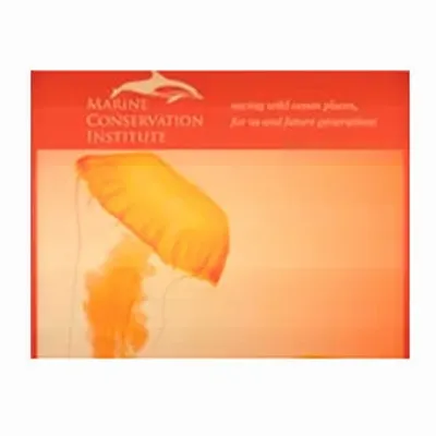 None - Custom Canvas Now