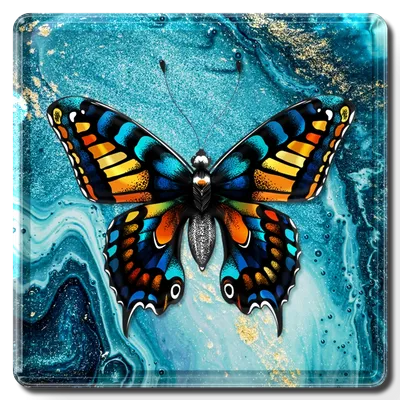 Square - Custom Canvas Now