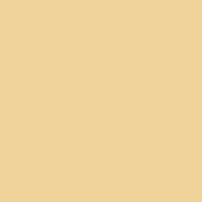 Warm White - Custom Canvas Now