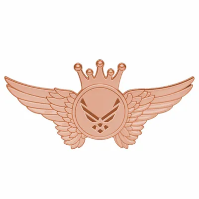 Bronze Bronze - Custom Canvas Now