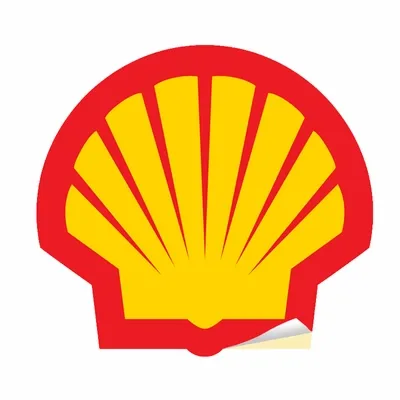 Die Cut - Custom Canvas Now