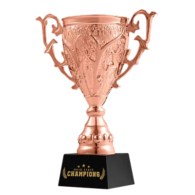 Bronze Bronze - Custom Canvas Now