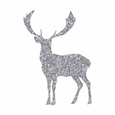 Silver Silver - Custom Canvas Now