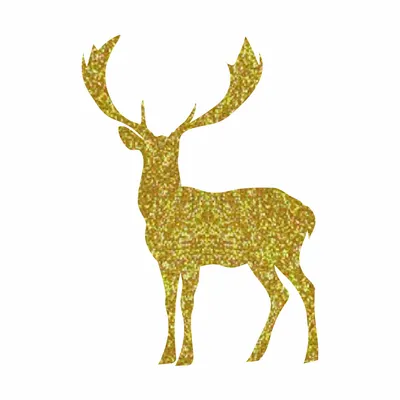 Gold Gold - Custom Canvas Now