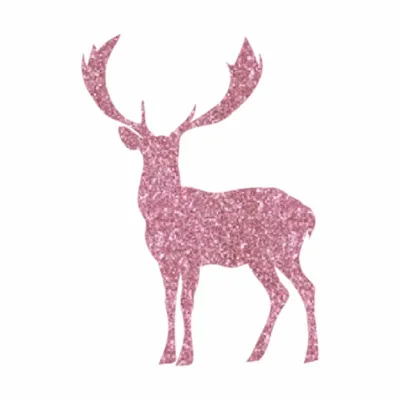 Light Pink Light Pink - Custom Canvas Now