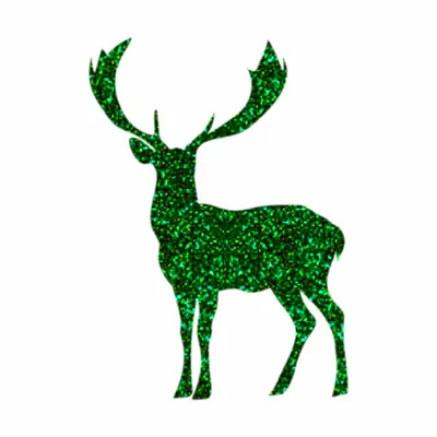 Green Green - Custom Canvas Now