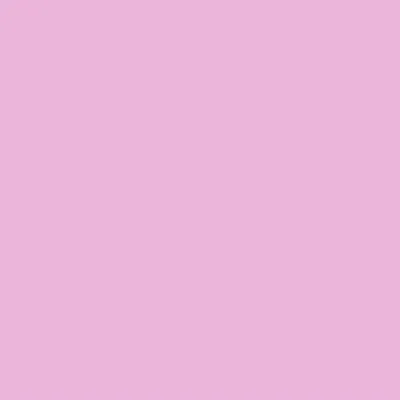 Pink Pink - Custom Canvas Now