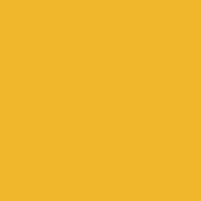 Yellow Yellow - Custom Canvas Now
