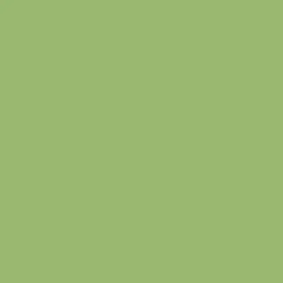 Light Green Light Green - Custom Canvas Now