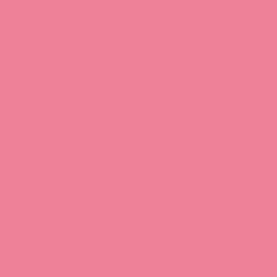 Pink Pink - Custom Canvas Now