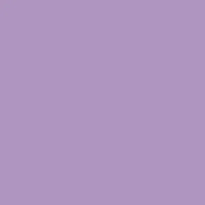 Light Purple Light Purple - Custom Canvas Now