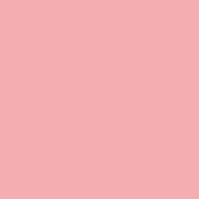 Light Pink Light Pink - Custom Canvas Now