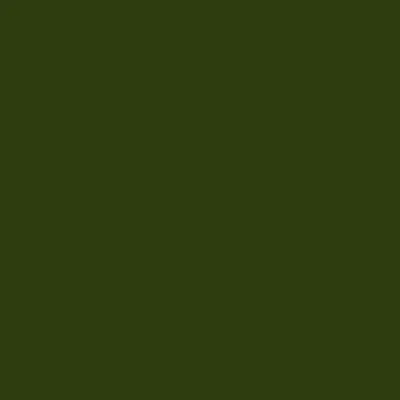 Olive Green Olive Green - Custom Canvas Now