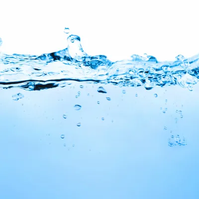 Purified Water From True Mineral Sping (Carribean) - Custom Canvas Now