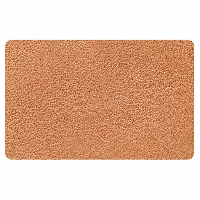 Camel - Custom Canvas Now