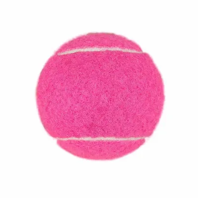 Fuchsia - Custom Canvas Now