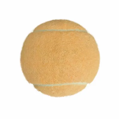 Rice Orange - Custom Canvas Now