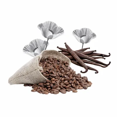 Black Opium - Custom Canvas Now