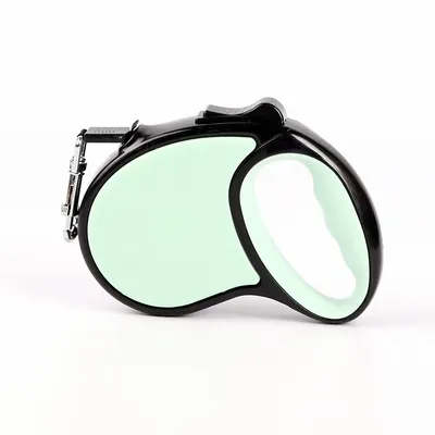 Mint Green - Custom Canvas Now