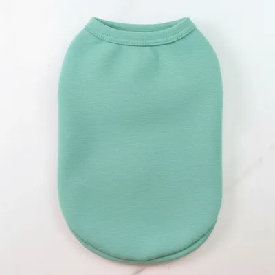 Mint Green - Custom Canvas Now