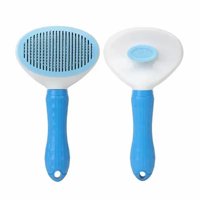 Blue - Custom Canvas Now