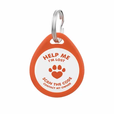 Orange - Custom Canvas Now