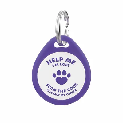 Blue - Custom Canvas Now