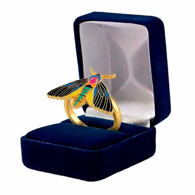 Blue Velvet Box - Custom Canvas Now