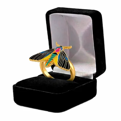 Black Velvet Box - Custom Canvas Now