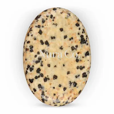 Dalmatian - Custom Canvas Now