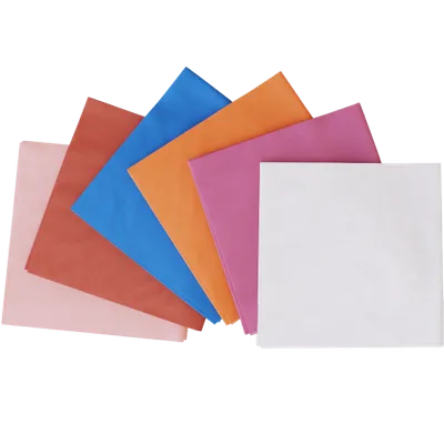 Blank Dinner Napkin - Custom Canvas Now