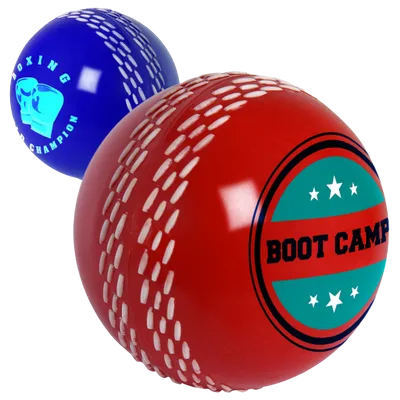 Cricket Stress Ball